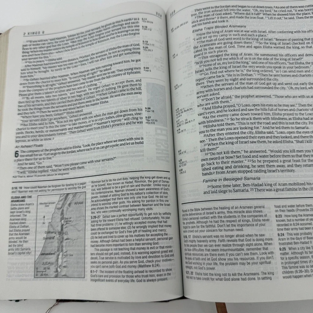 Life Application Study‎ Bible International Version Brown Crocodile Embossed